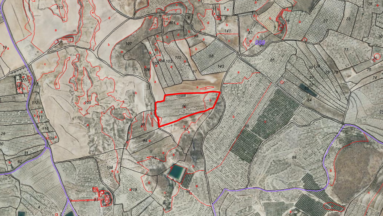 Finca rústica de 36.600 m² de secano en Los Llanos de Mula (Murcia)