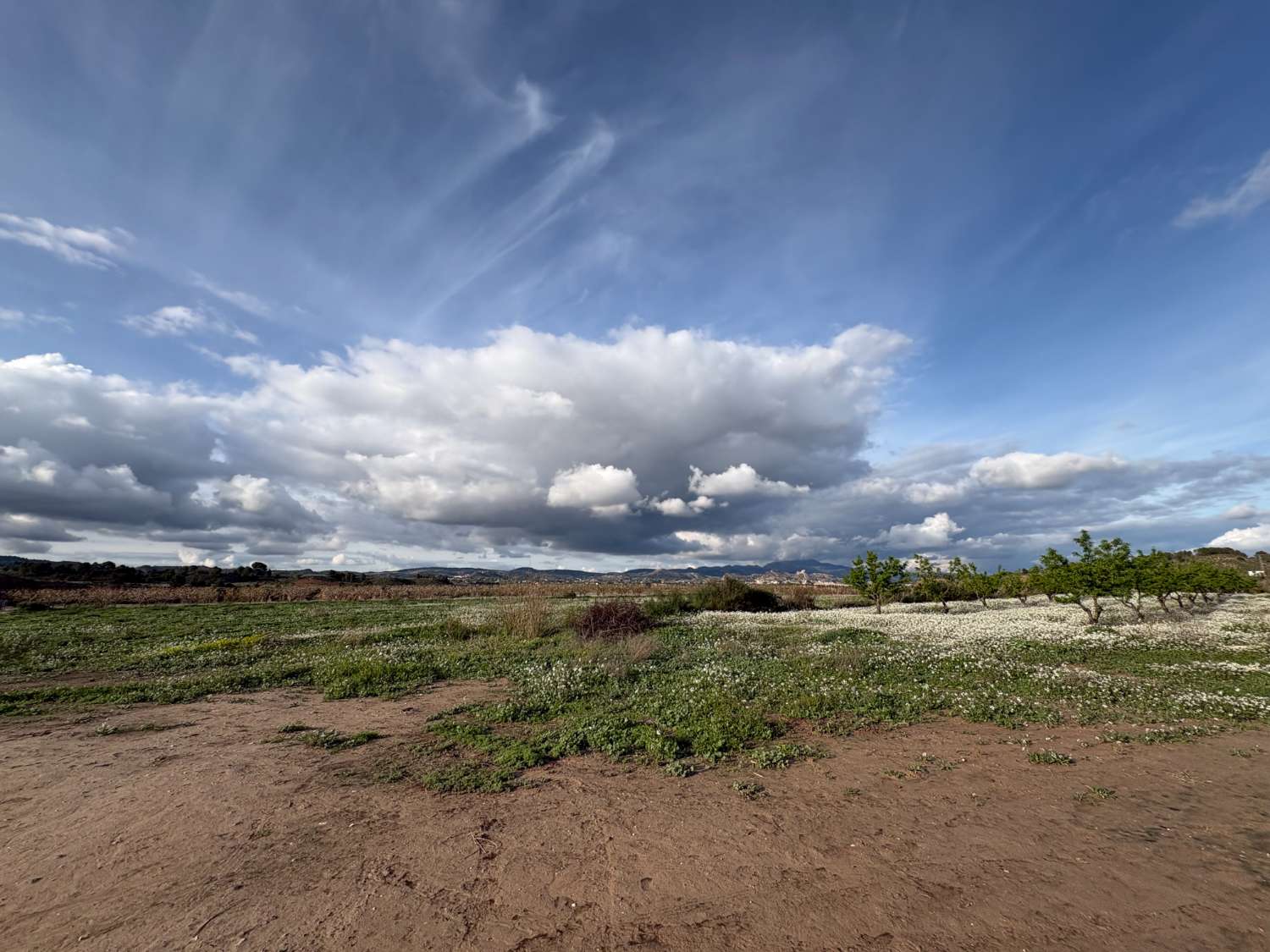 Finca rústica de 80 hectáreas entre Pliego y Mula con regadío