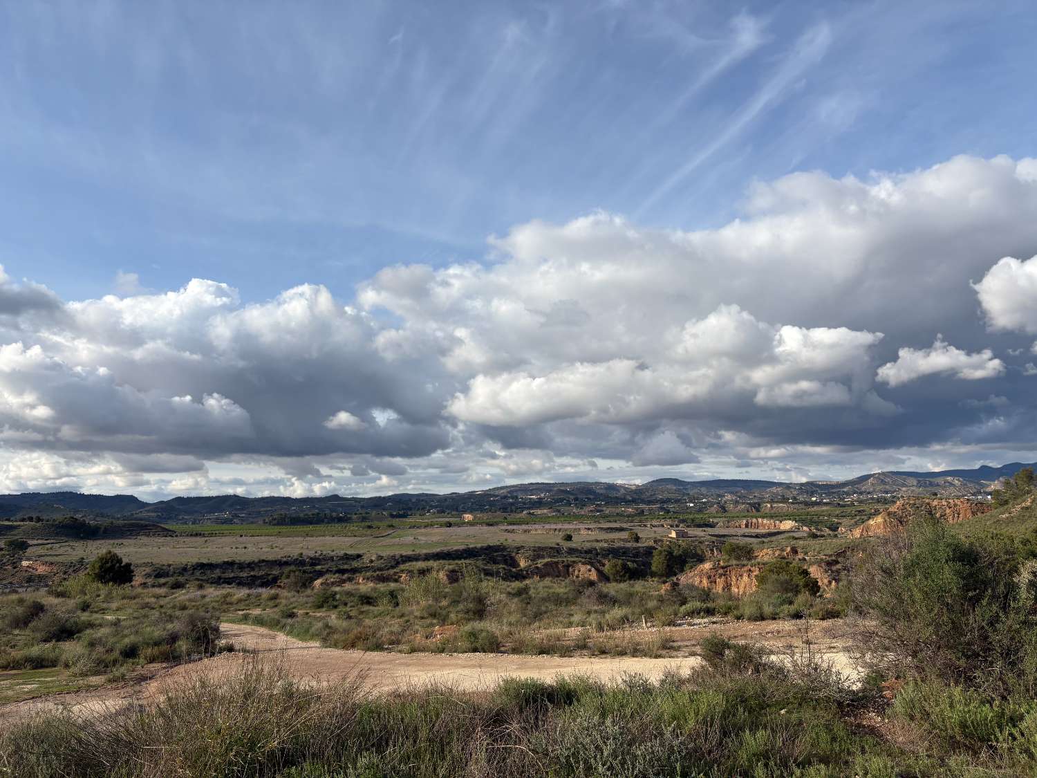 Finca rústica de 80 hectáreas entre Pliego y Mula con regadío