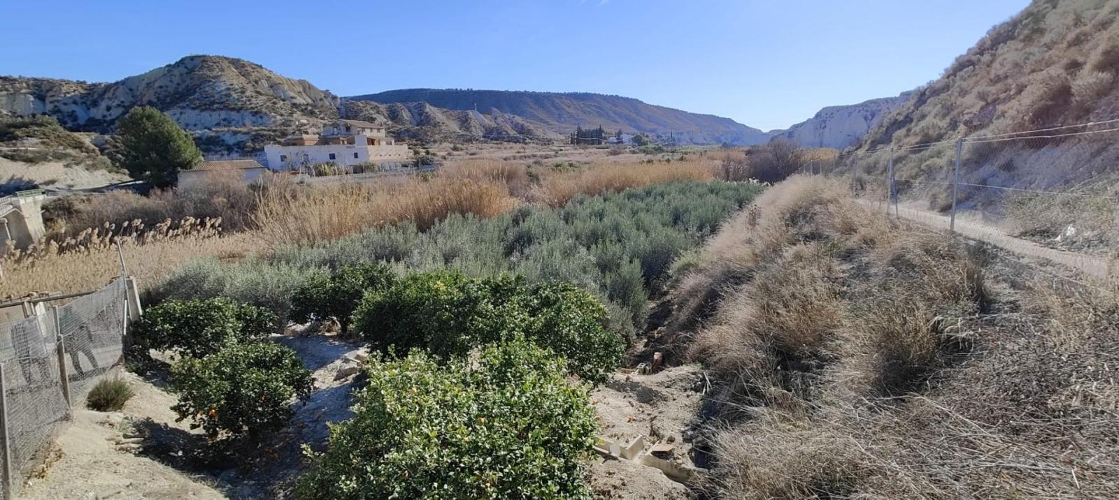Parcela en venta en Mula