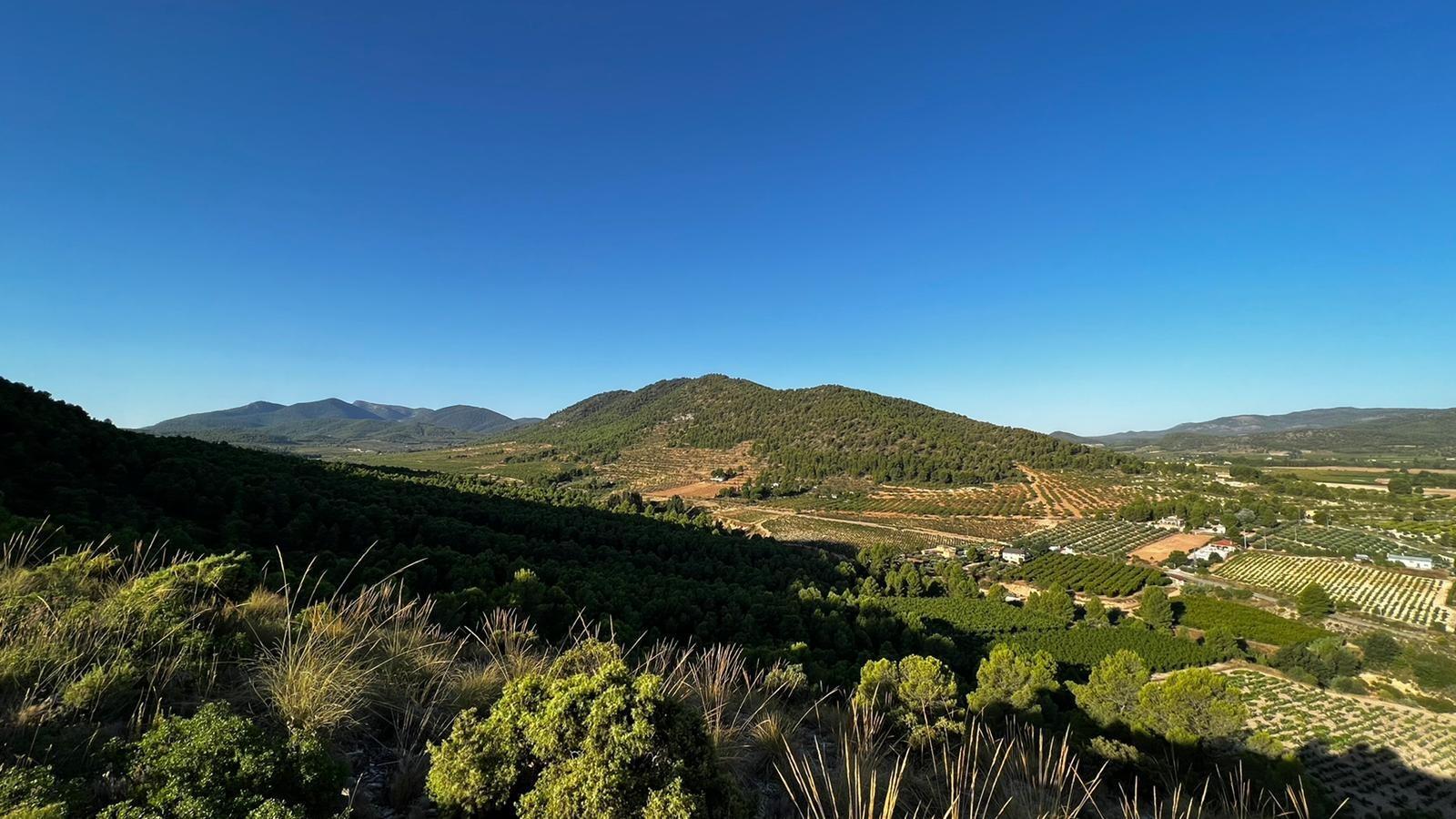Casa en venta en Bullas