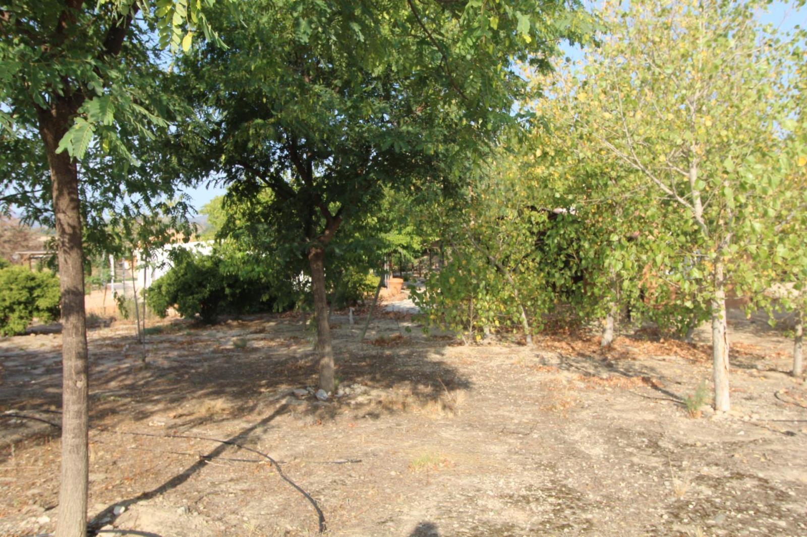 Chalet en venta en Mula