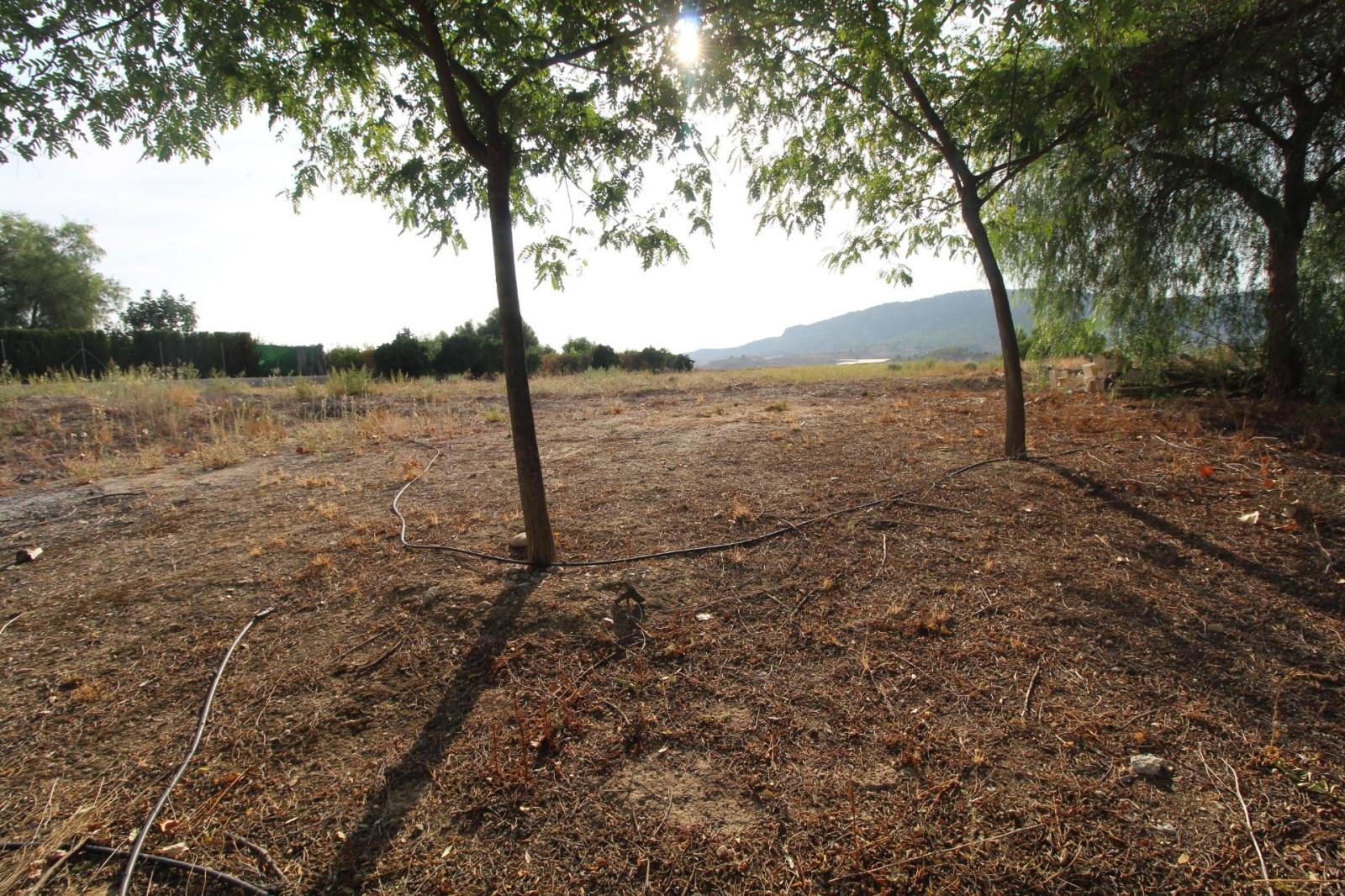 Chalet en venta en Mula