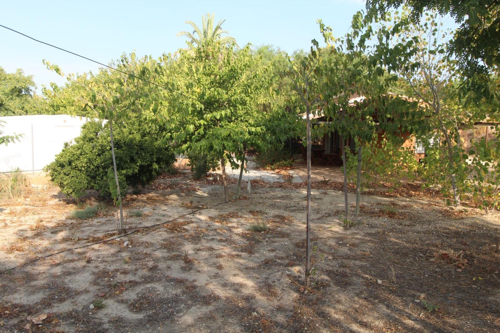 Chalet en venta en Mula