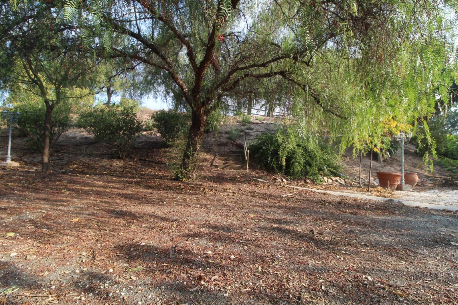 Chalet en venta en Mula