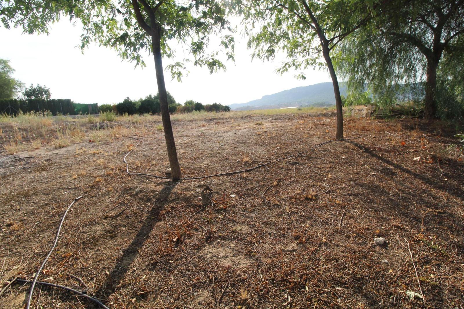 Chalet en venta en Mula