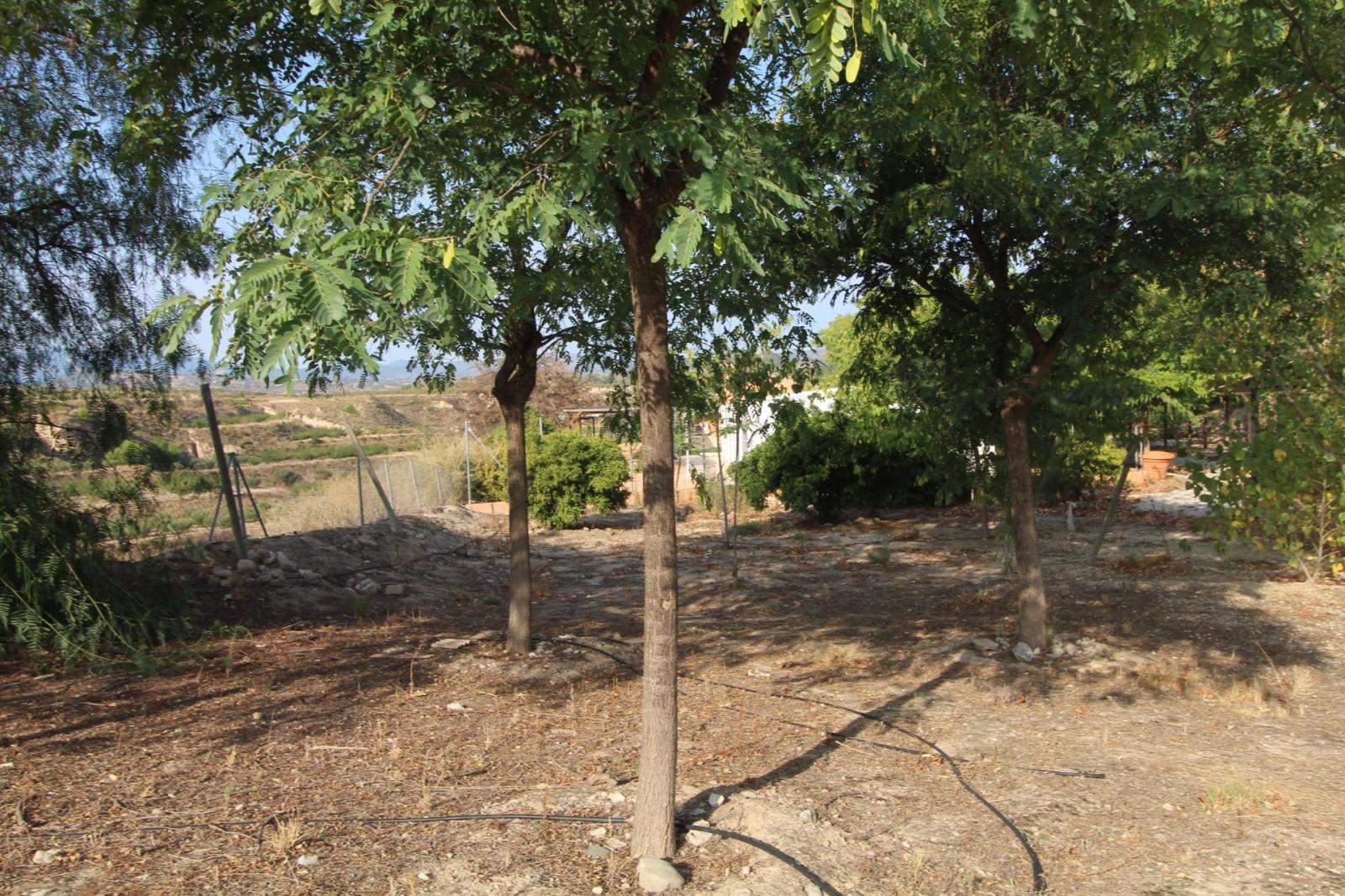 Chalet en venta en Mula