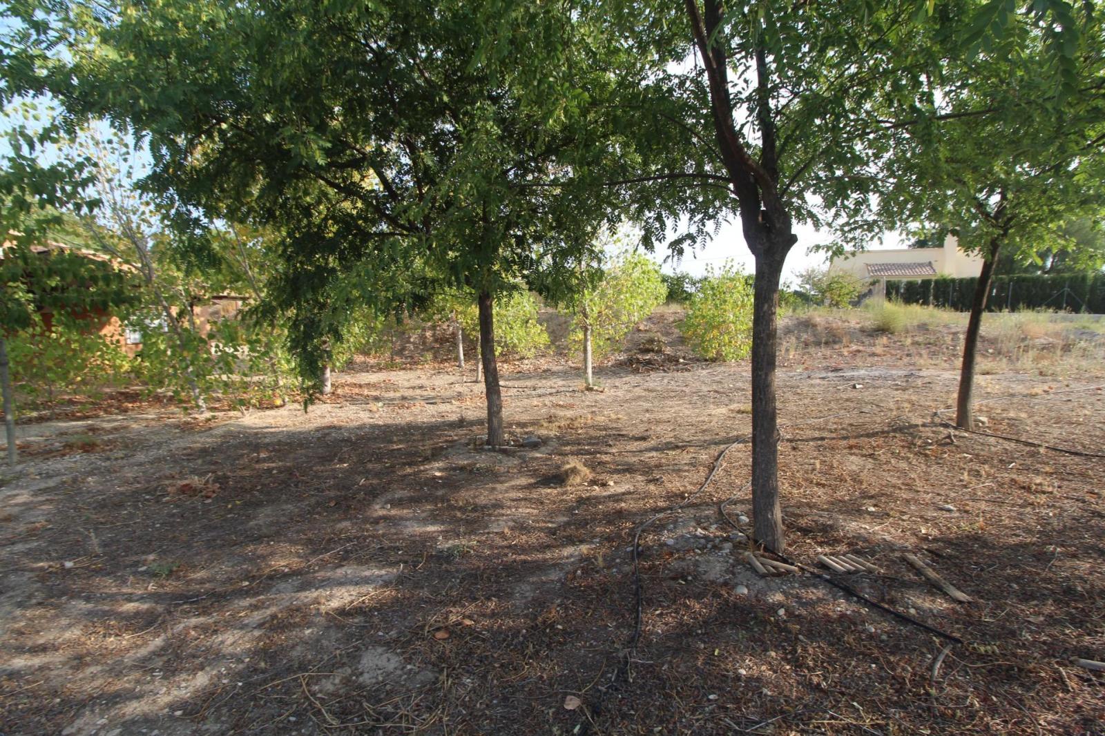 Chalet en venta en Mula