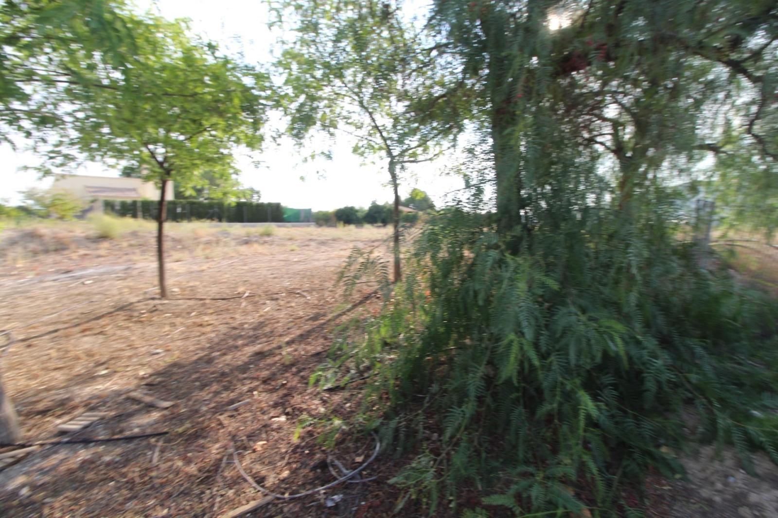 Chalet en venta en Mula