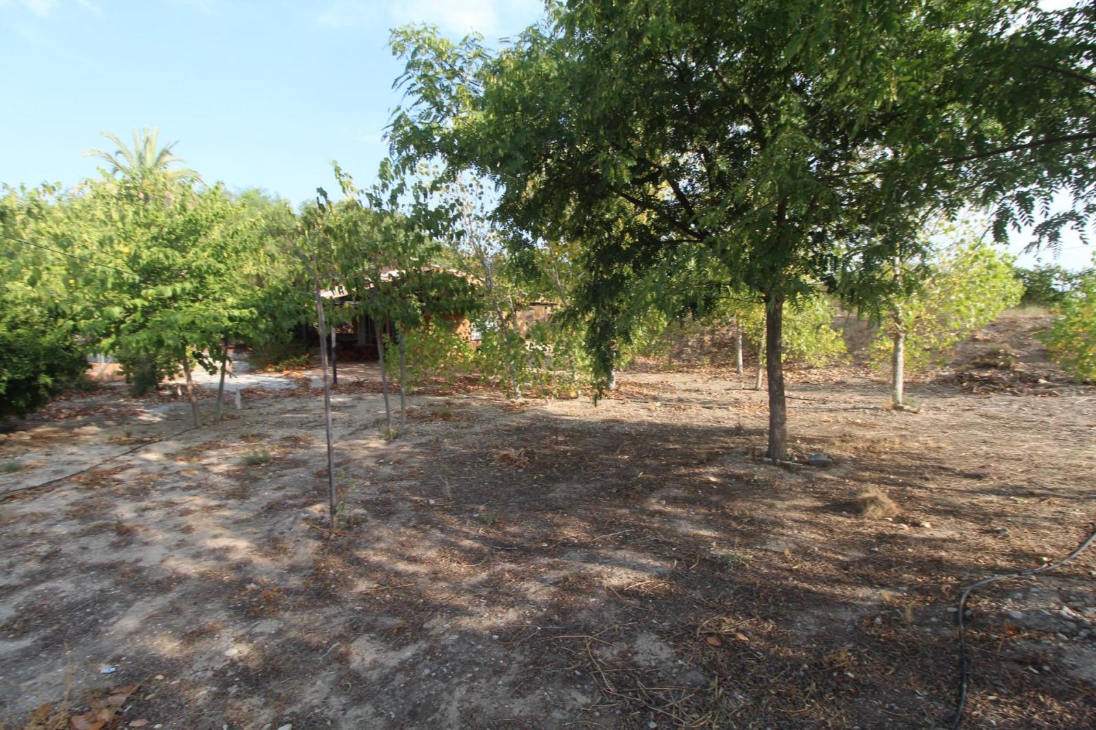 Chalet en venta en Mula