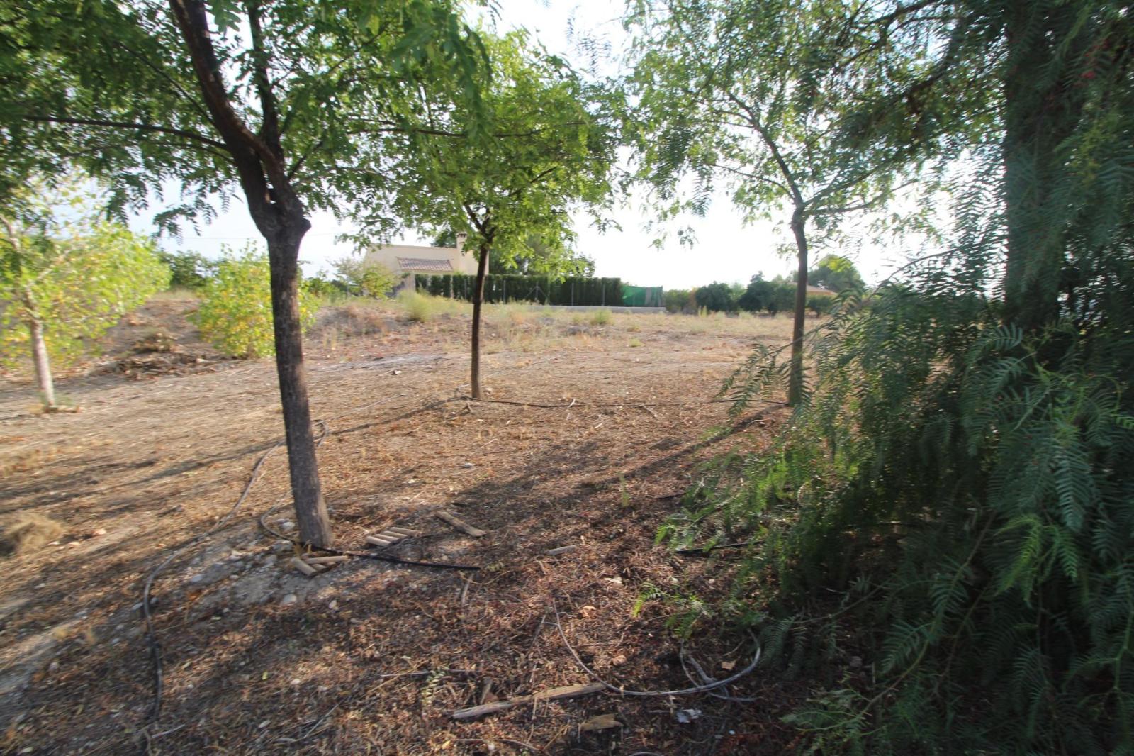 Chalet en venta en Mula