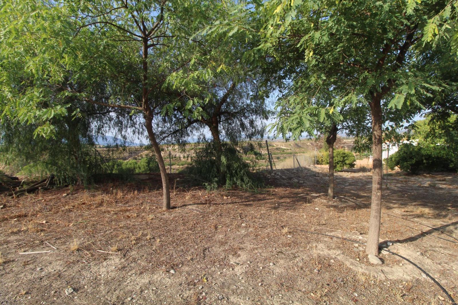 Chalet en venta en Mula