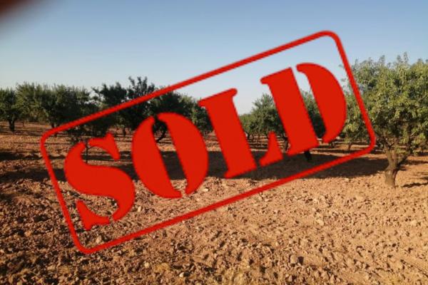 Parzelle zum verkauf in Mula