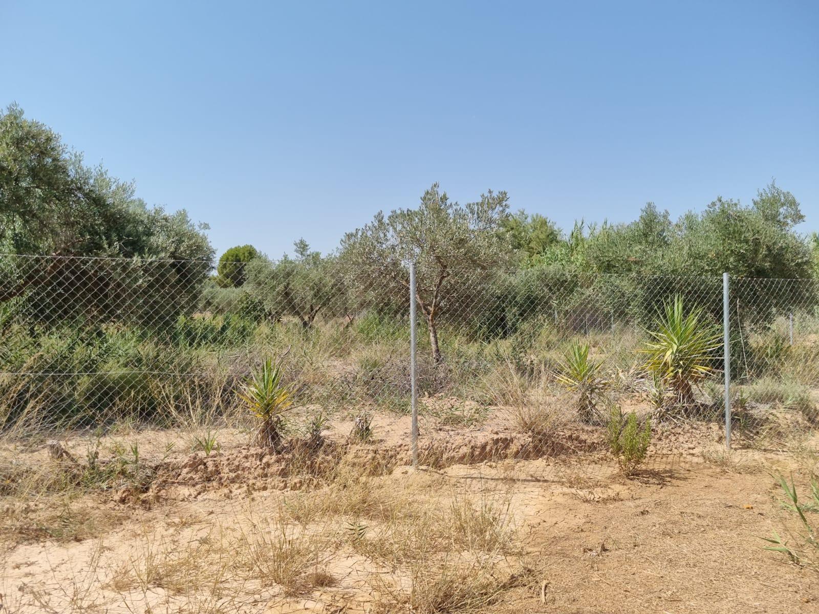 Chalet en venta en Mula