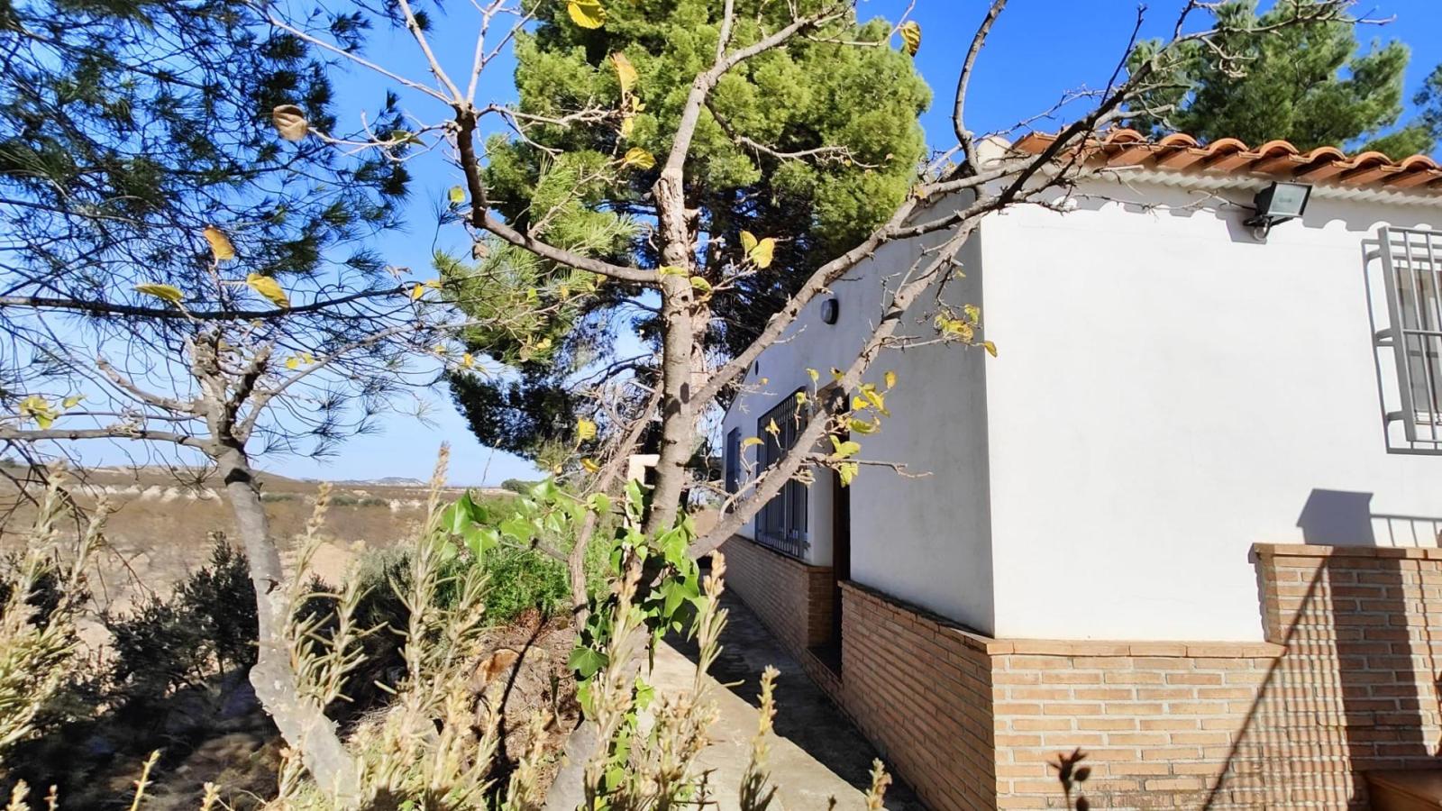 Casa de campo con terreno y plantación en Mula (zona Casas Nuevas)