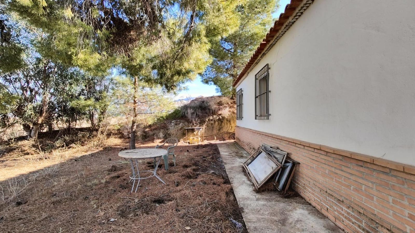 Casa de campo con terreno y plantación en Mula (zona Casas Nuevas)