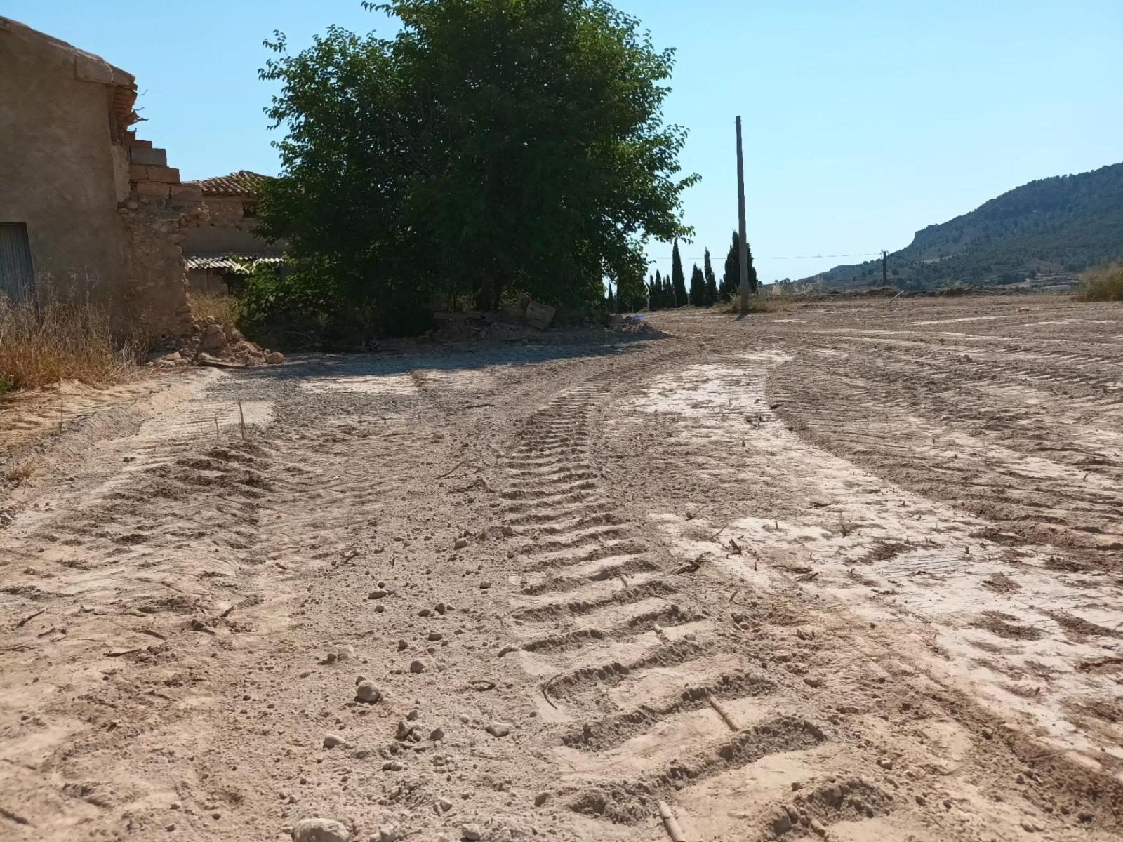Finca rústica de secano con cortijo para reformar