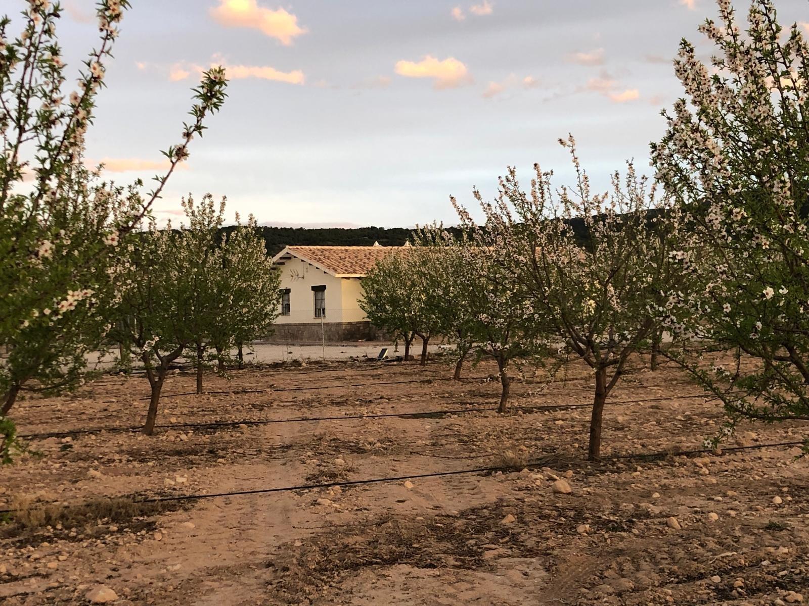 Casa in vendita a Pliego