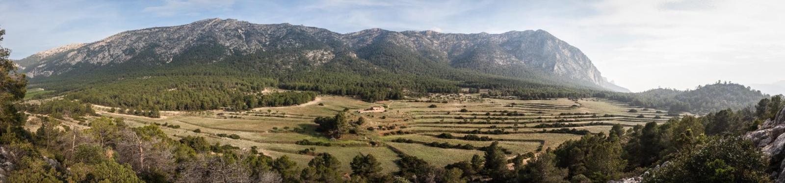 Parcela en venta en Casas Nuevas (Mula)