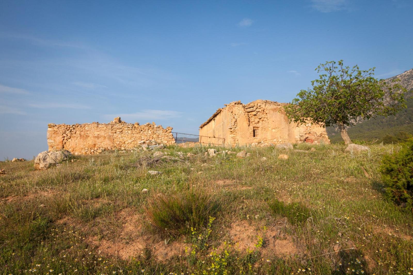 Parcela en venta en Casas Nuevas (Mula)