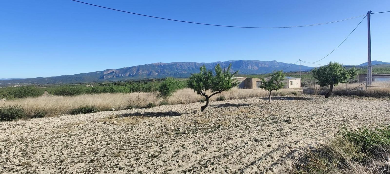 Local en vente à Mula