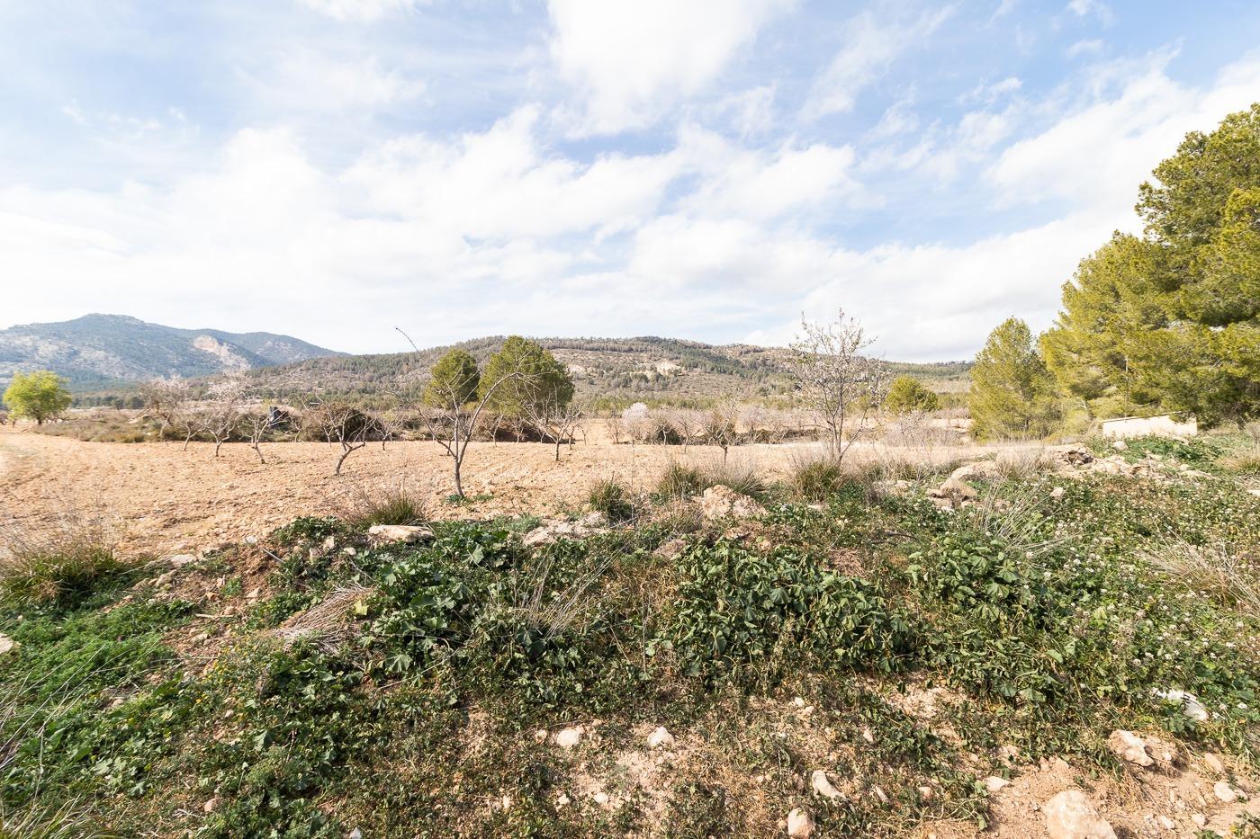 Casa en venta en Mula
