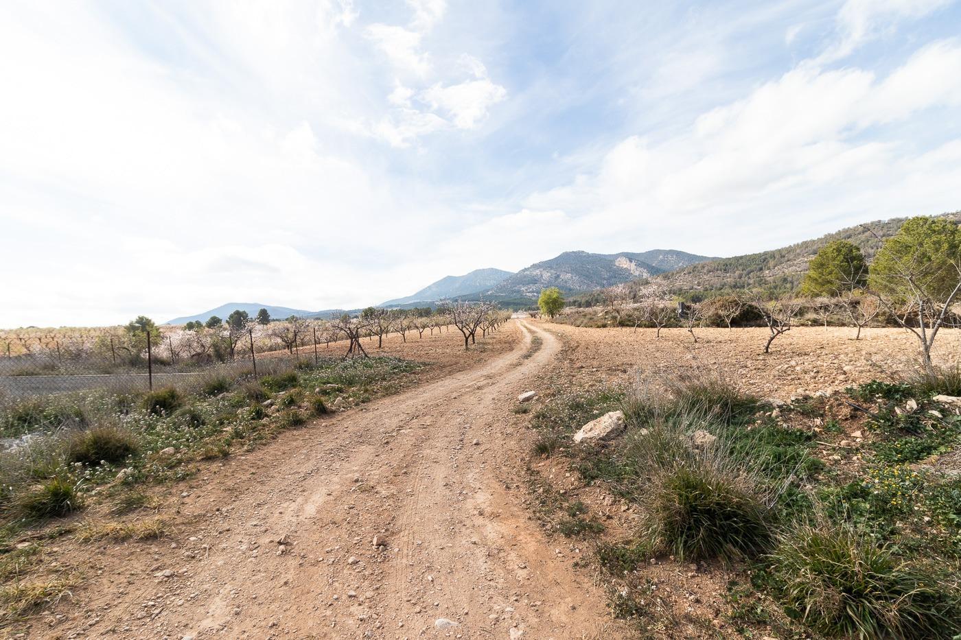 Casa en venta en Mula