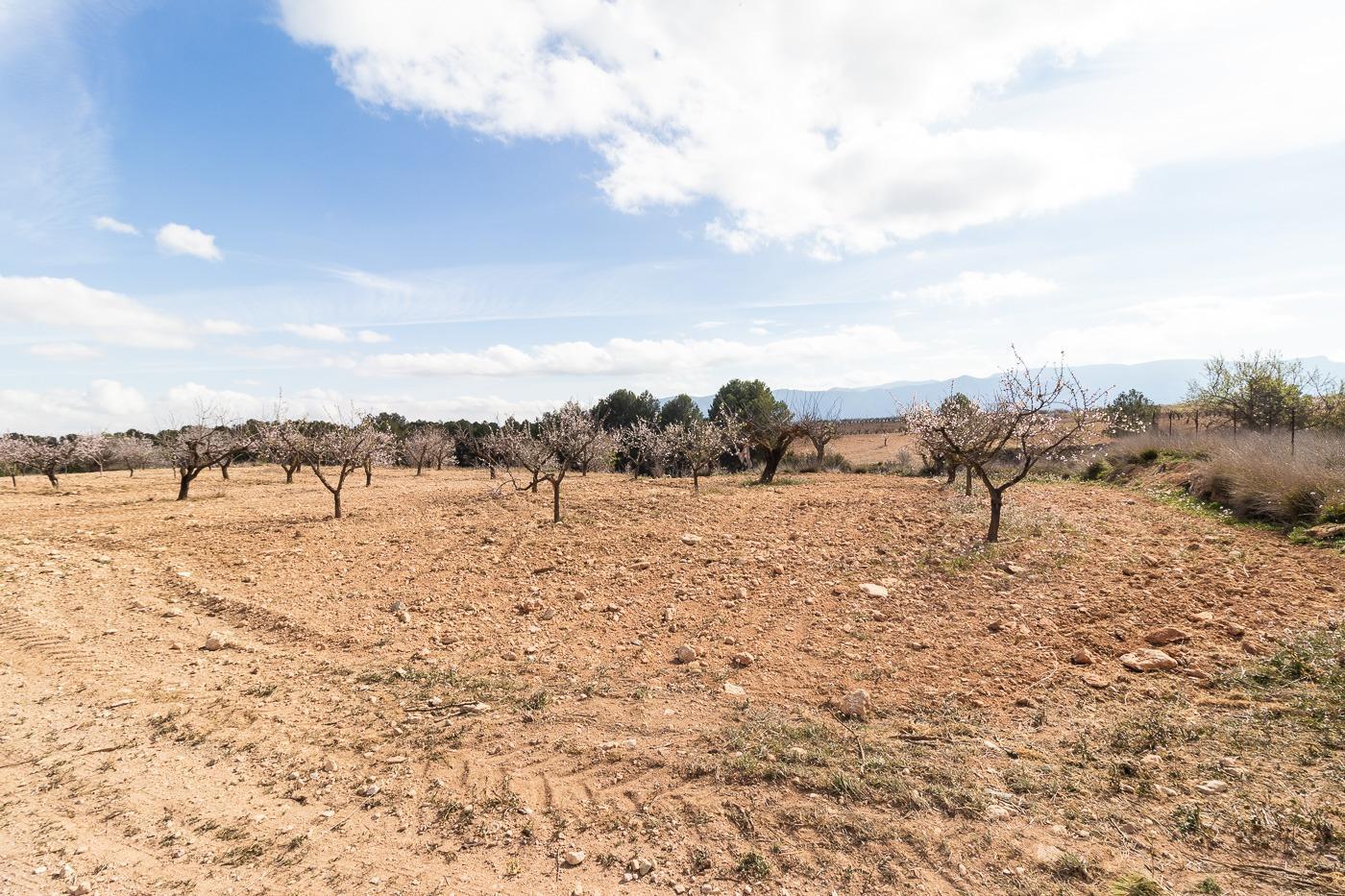 Casa en venta en Mula