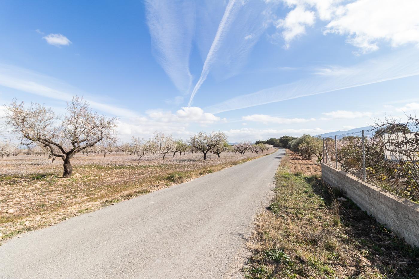 Casa en venta en Mula