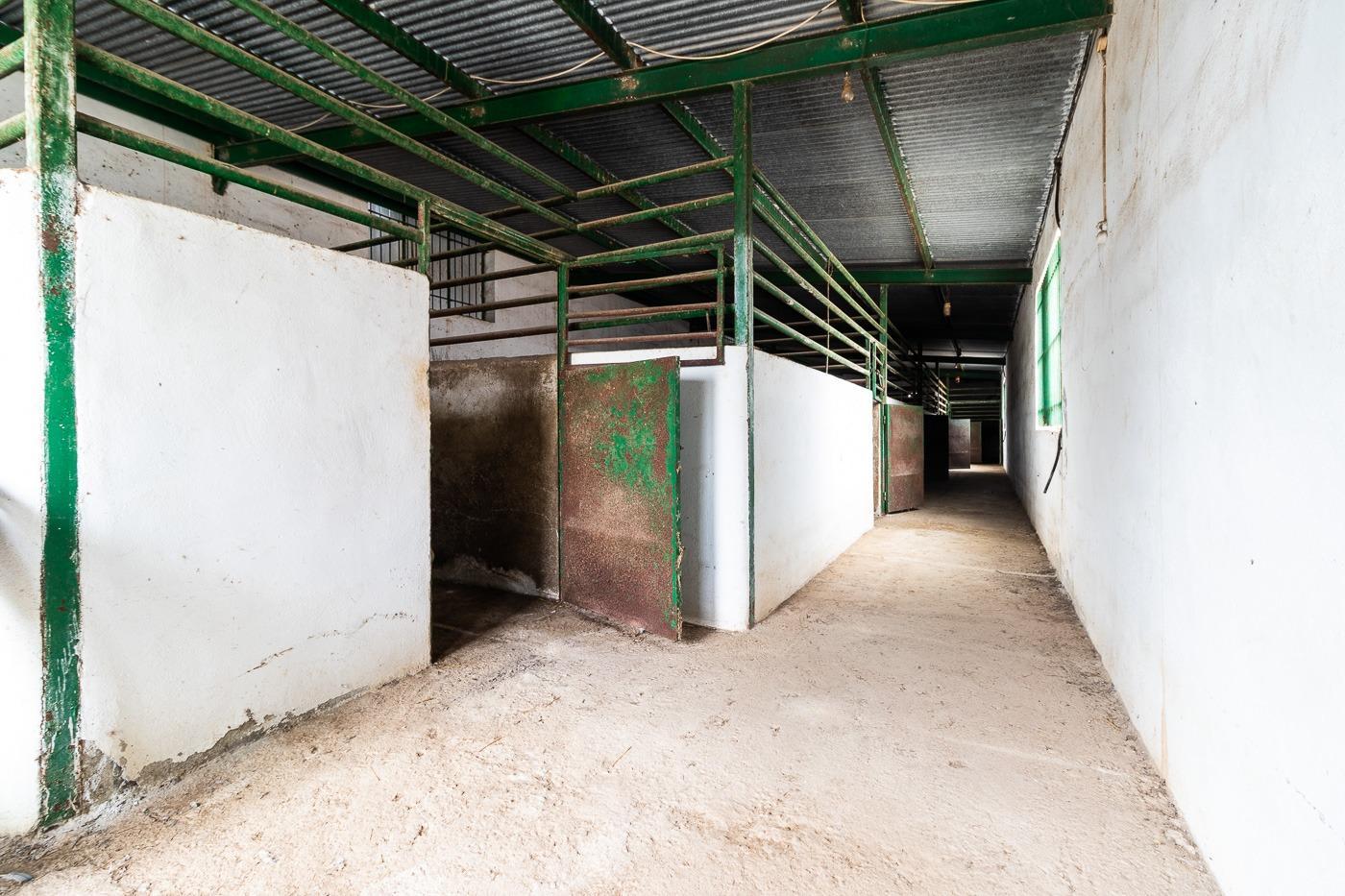Villa en venta en Mula