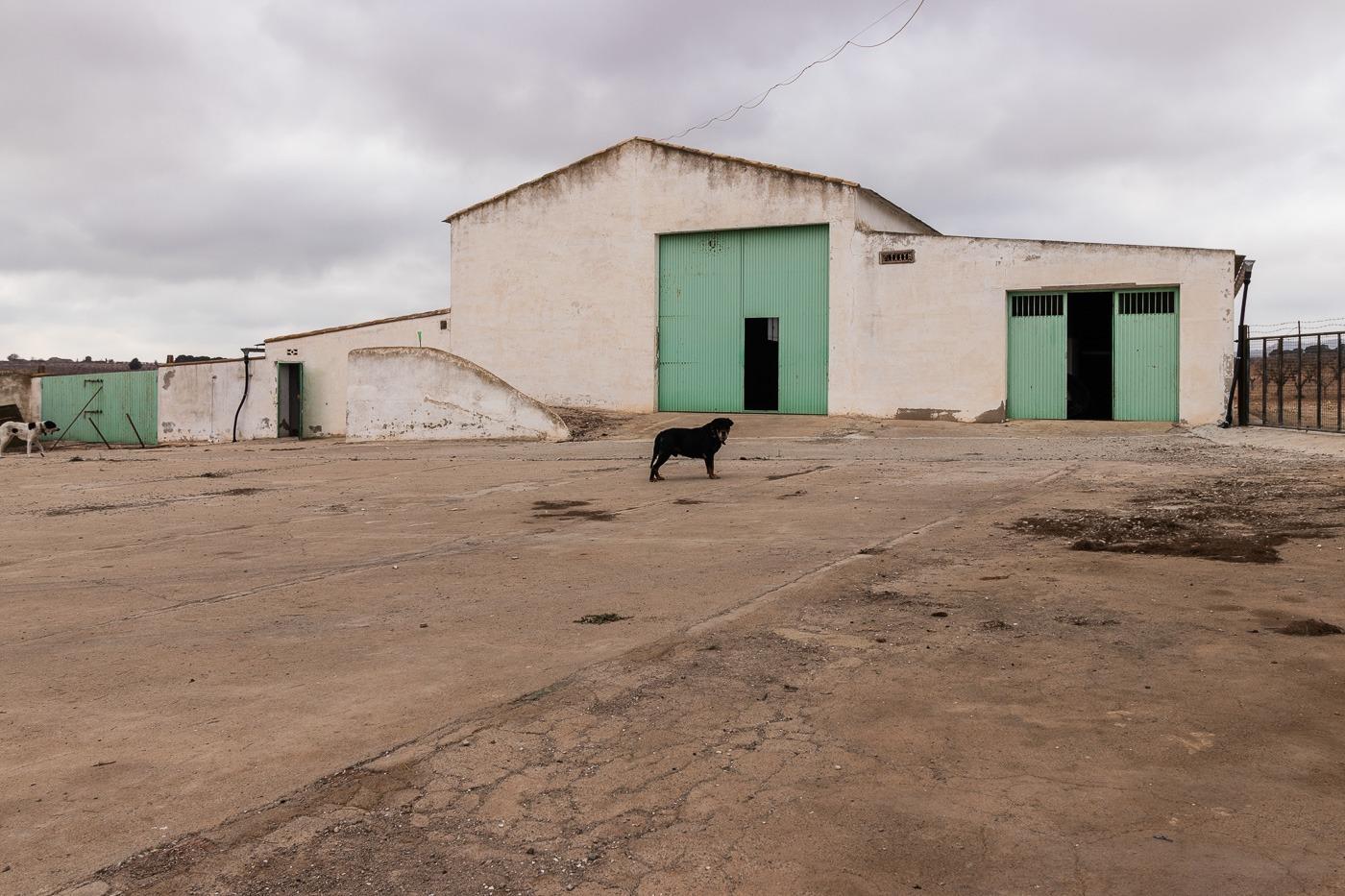 Villa en venta en Mula