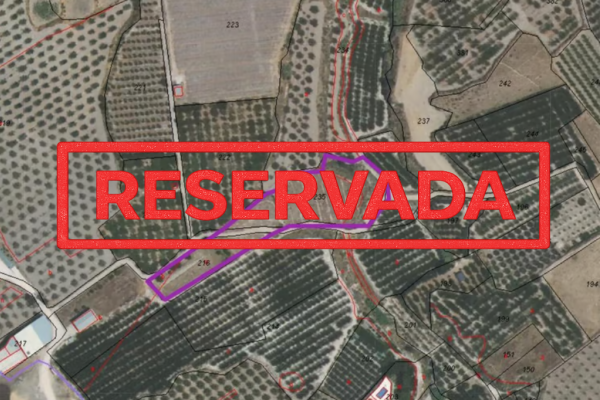 Parcela en venta en Pliego