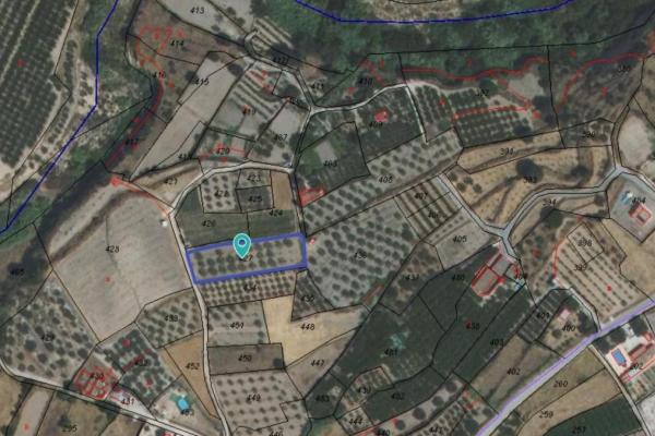 Parcela en venta en Pliego