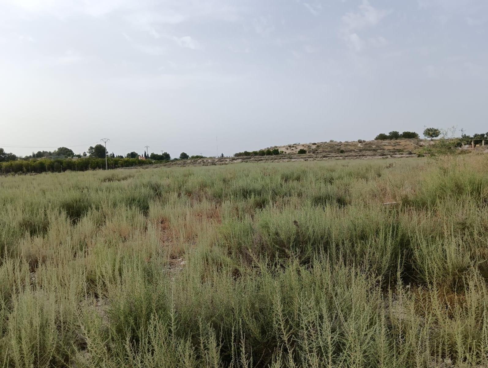 Parzelle zum verkauf in Las Torres de Cotillas