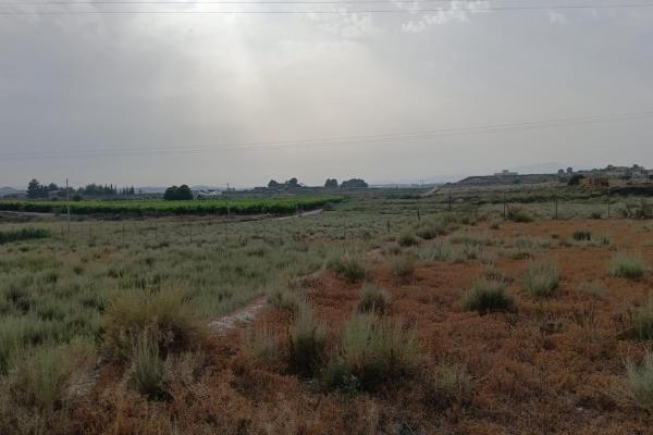 Parcela en venta en Las Torres de Cotillas