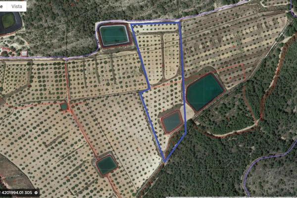 Plot for sale in Pliego