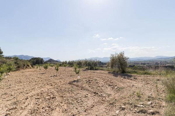 Plot for sale in Pliego