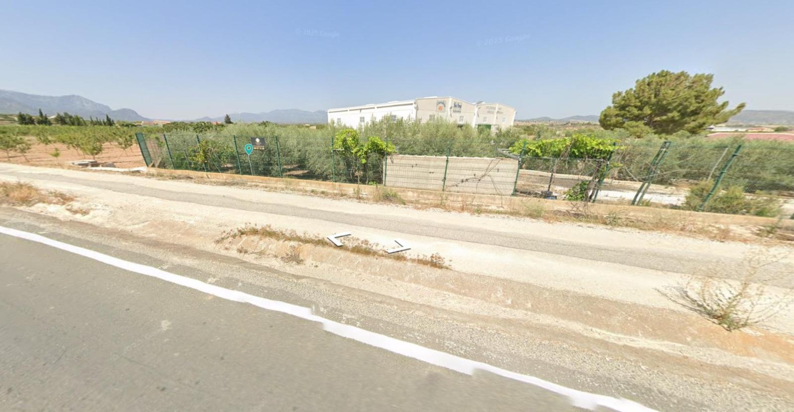 Plot for sale in Pliego