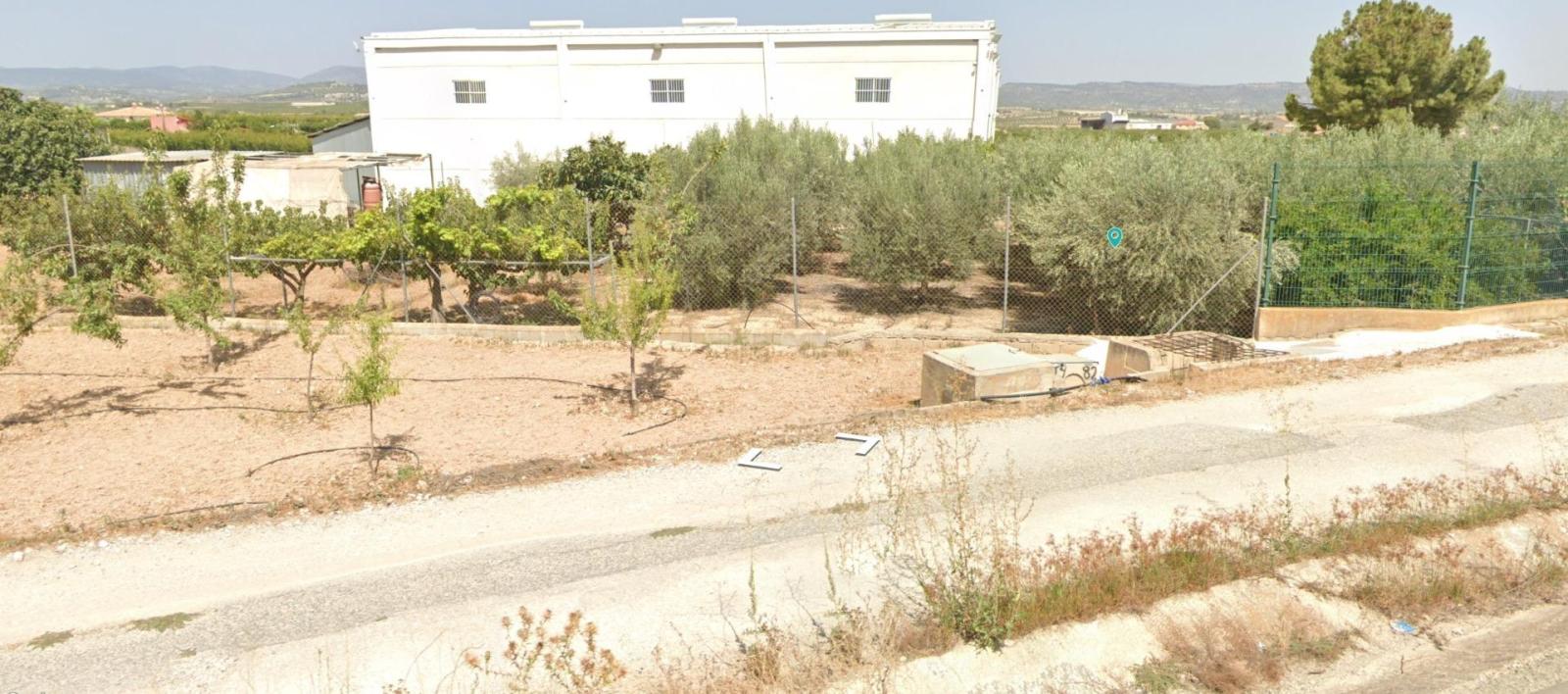 Plot for sale in Pliego