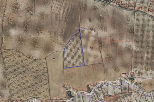 Plot for sale in Mula