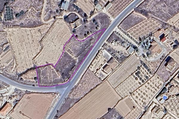 Plot for sale in Pliego