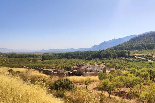 Finca en venta en Mula