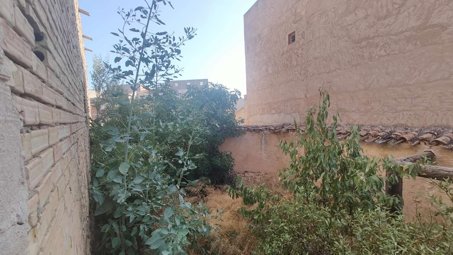 Almacén de 132 m² en Pliego con Patio de 65 m² – Posibilidad de Convertir en Vivienda