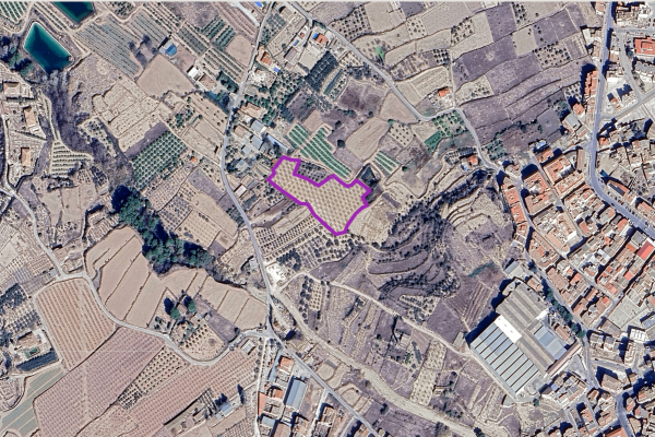 Parcela en venta en Pliego