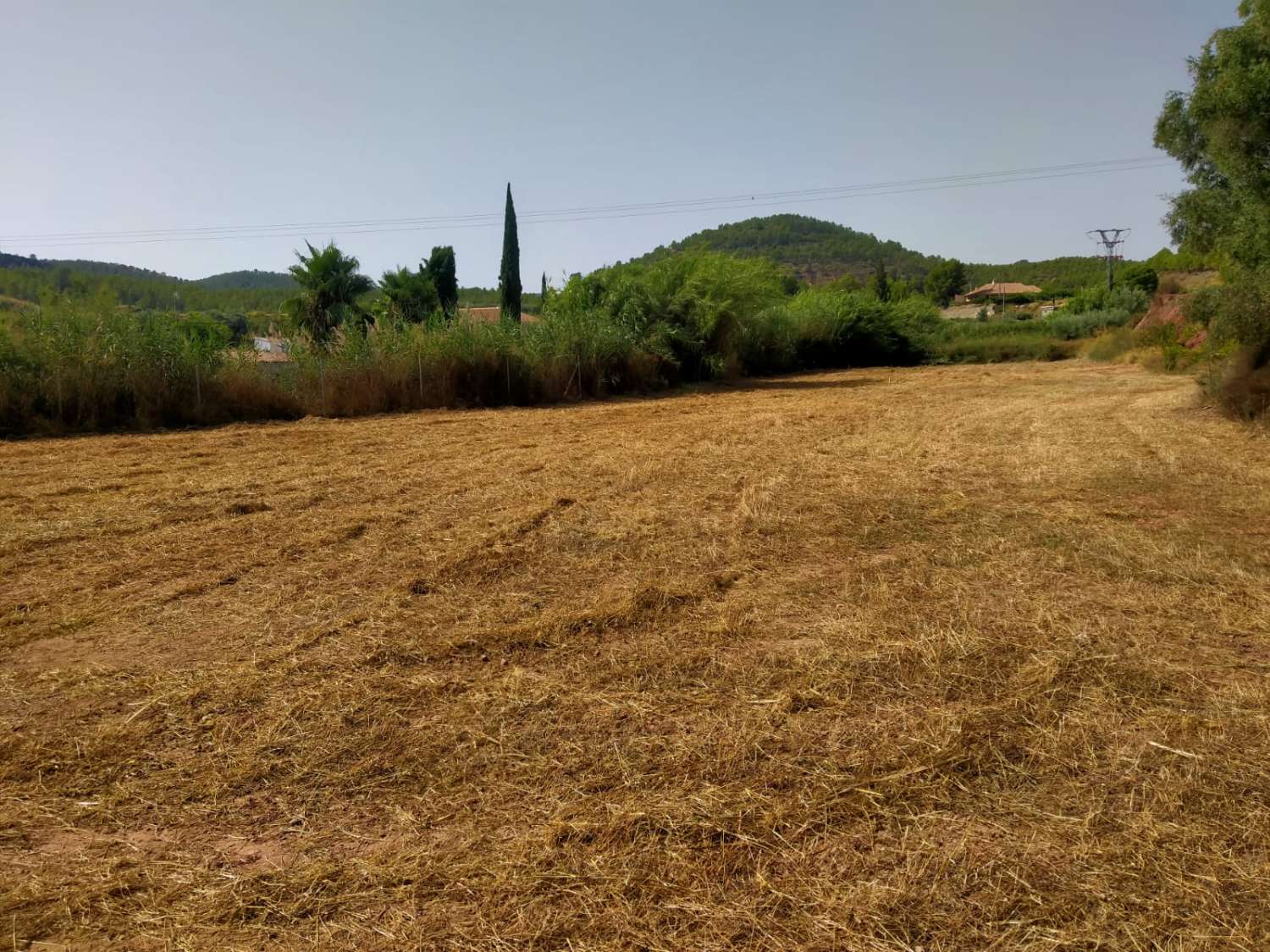 terreno en Escobar (Cehegín)