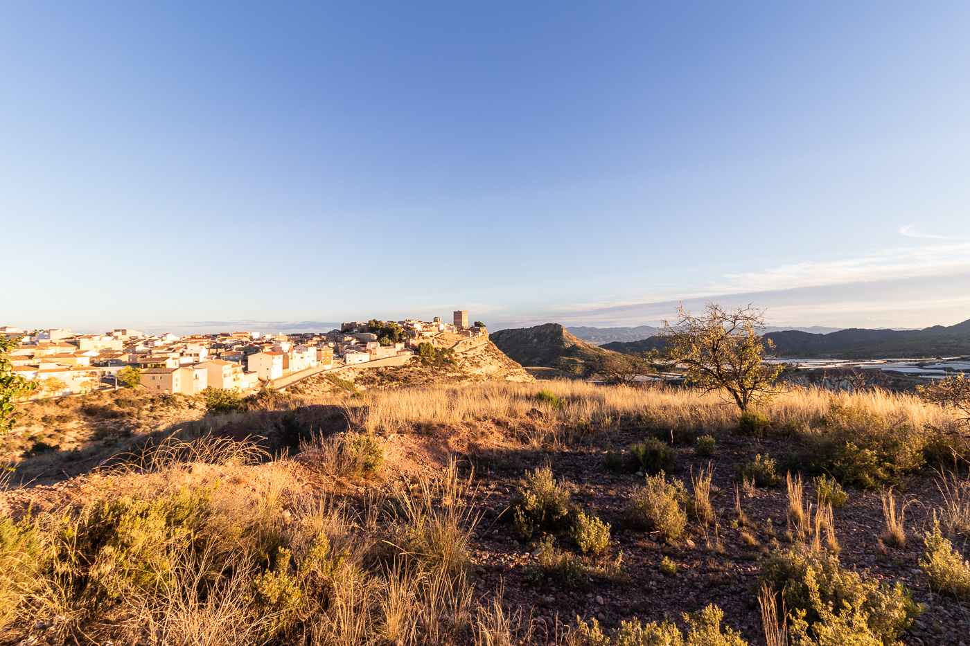 Chalethaus zum verkauf in Aledo