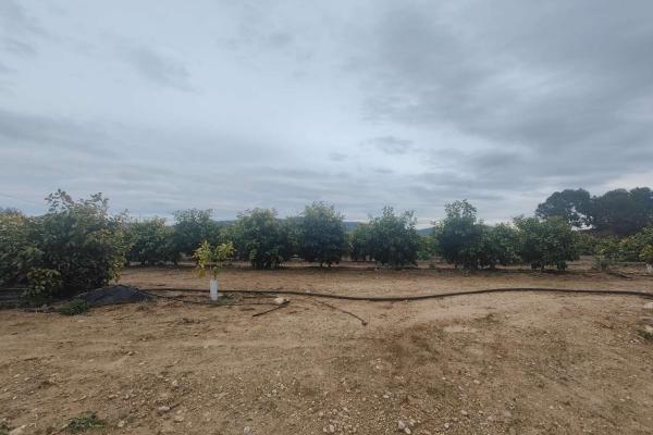 Parcela en venta en Pliego