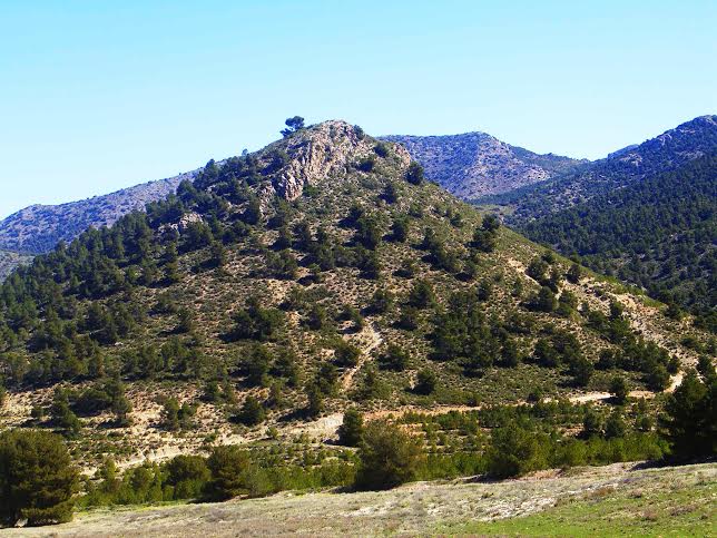 Rustikální pozemek o rozloze více než 230 hektarů s domem, vlastní vodou a loveckým revírem v El Madroño (Murcia)