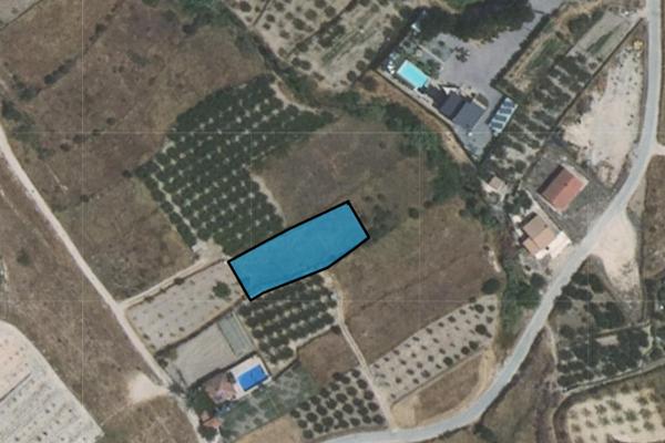 Parcela en venta en Pliego