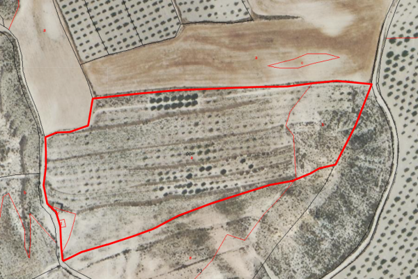 Parcela en venta en Mula